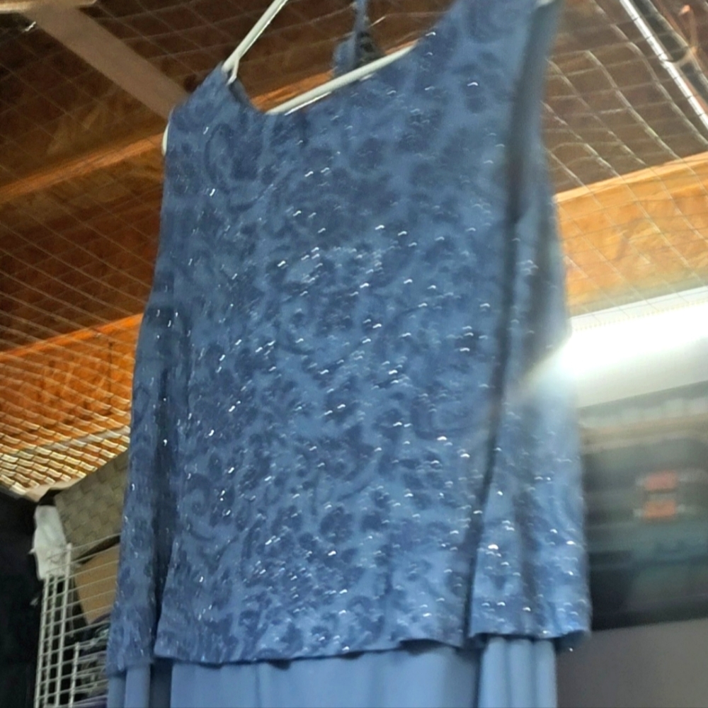 Alex Evenings  Long Gown